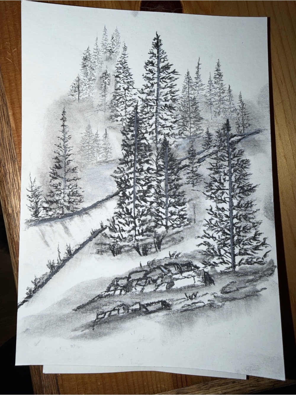 Monochrome Pine Forest Charcoal Art Print - Black